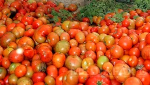 Dietele bogate în roşii reduc cu peste un sfert riscul de maladii cardiace