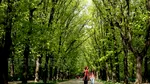 METEO | Cum va fi vremea în următoarele patru săptămâni. Prognoza emisă de ANM