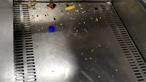 FOTO Produse expirate, mizerie şi insecte în două hoteluri de 5 stele din Bucureşti