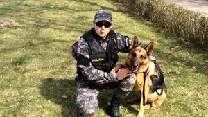 Bihor: Fetiţă de doi ani dispărută din grădina casei bunicilor, găsită de un câine poliţist - FOTO