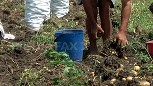 Peste 10.000 de persoane, inclusiv români, ar putea fi victimele 