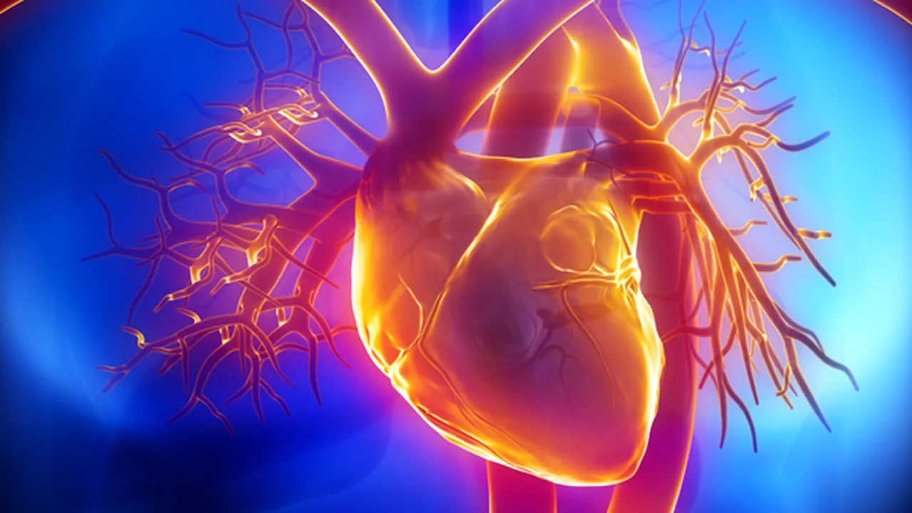 Unul din cinci adulţi de peste 50 de ani are un organ care îmbătrâneşte mai mult decât celelalte.  Afecţiunea poate fi descoperită printr-un simplu test