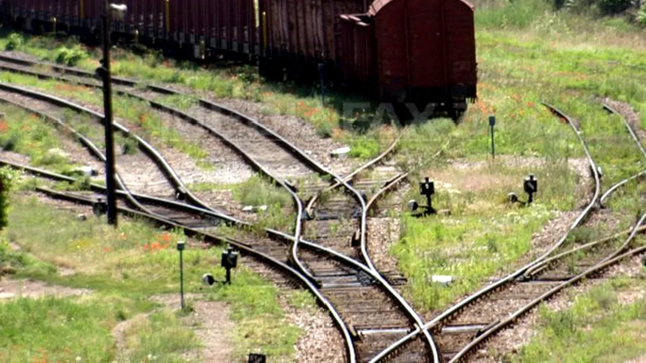 Romania To Float 20% In CFR Marfa By Yearend