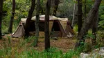 Începe vacanța intersemestrială / Care este materia la care elevii trebuie să aibă notă în mod obligatoriu