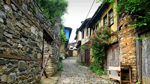 COMENTARIU Lelia Munteanu: Harta comorii