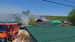 Incendiu la o grădină zoologică din Suceava. Animale salvate din flăcări, două exemplare au murit