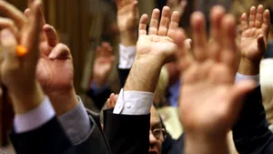 Senatul şi-a votat bugetul pe 2009