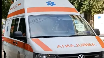 NEWS ALERT Femeie moartă, sfâșiată de câini, pe ulița unui sat din Vaslui