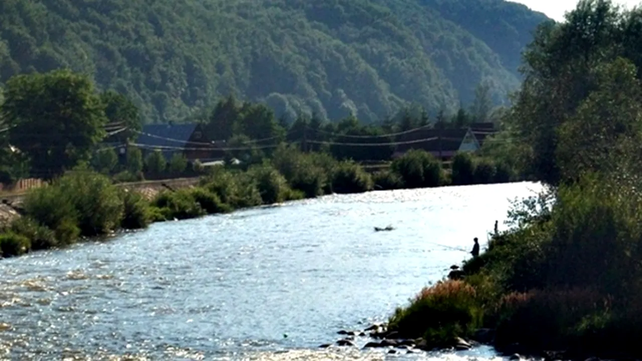 Râul Mureş, poluat accidental cu ulei de la o termocentrală a Romgaz 