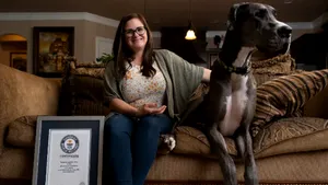 FOTO/VIDEO Zeus, cel mai înalt câine din lume, a fost ”încoronat” de Guinness World Records. Înălţimea la care a ajuns Marele Danez