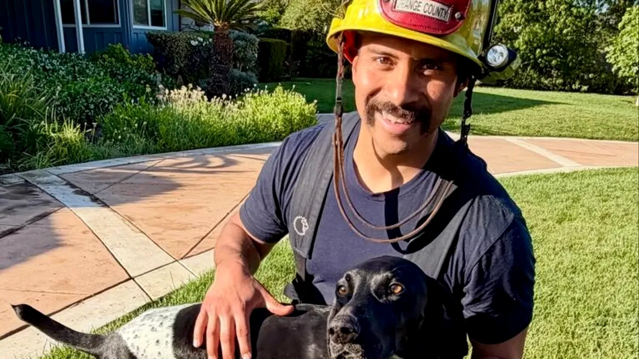 Un câine și-a salvat familia după ce a lătrat pentru a-i alerta de un incendiu izbucnit în garaj