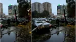 Cod portocaliu de vânt: zeci de copaci și bucăți de acoperiș doborâte în București și Ilfov