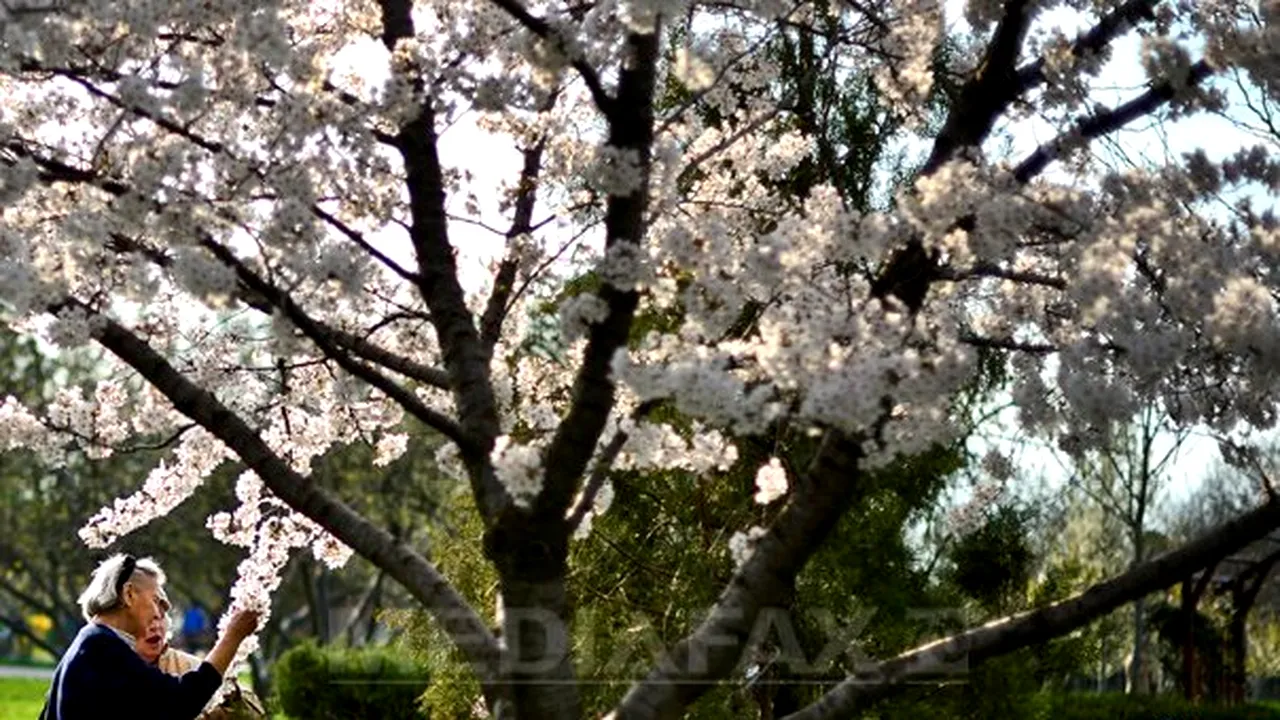Cum va fi primăvara acestui an. PROGNOZA METEO până în luna aprilie