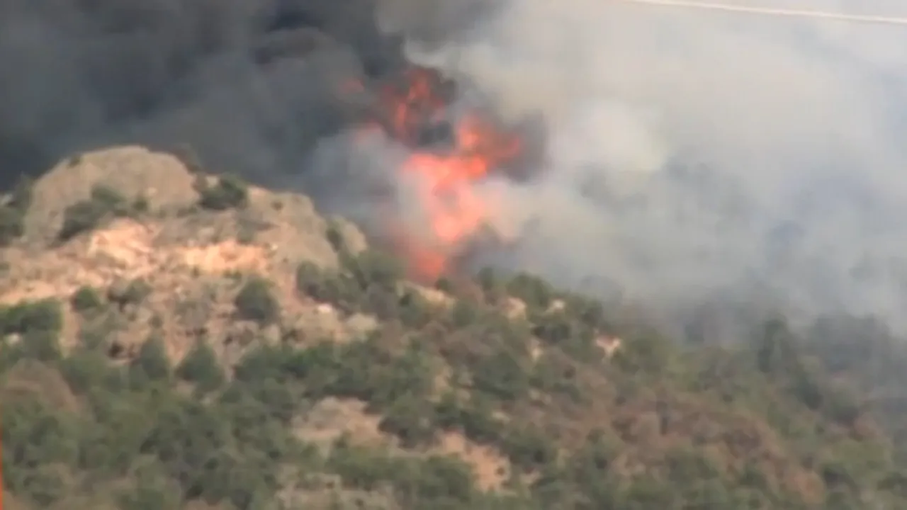 INCENDII în Colorado: Mii de oameni au fost evacuaţi. Extinderea focului, favorizată de secetă şi vânt - VIDEO