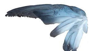 COMENTARIU Lelia Munteanu: O picătură de ploaie în streaşina lumii
