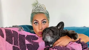 Câinii lui Lady Gaga au fost furaţi, după ce un bărbat l-a împuşcat pe cel care i-a scos la plimbare