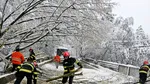 Din cauza ninsorii, un copac a căzut pe un microbuz. Şoferul şi pasagerii au reuşit să se salveze
