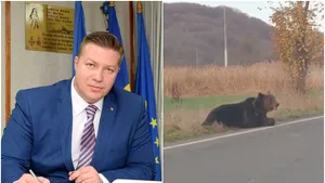 Cazul ursului care a agonizat 18 ore: Prefectul din Harghita va fi demis de ministrul de Interne / Preşedintele CJ: Trebuie să avem dreptul să intervenim / Poliţia a deschis dosar penal
