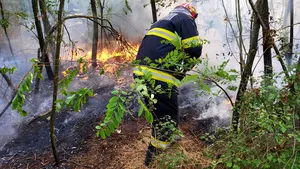 Incendiu de vegetaţie pe 42 de hectare, în Giurgiu, provocat de un foc lăsat nesupravegheat