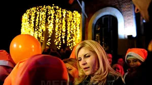 Udrea a aprins luminiţele unui brad de sărbători în curtea sediului central al PDL