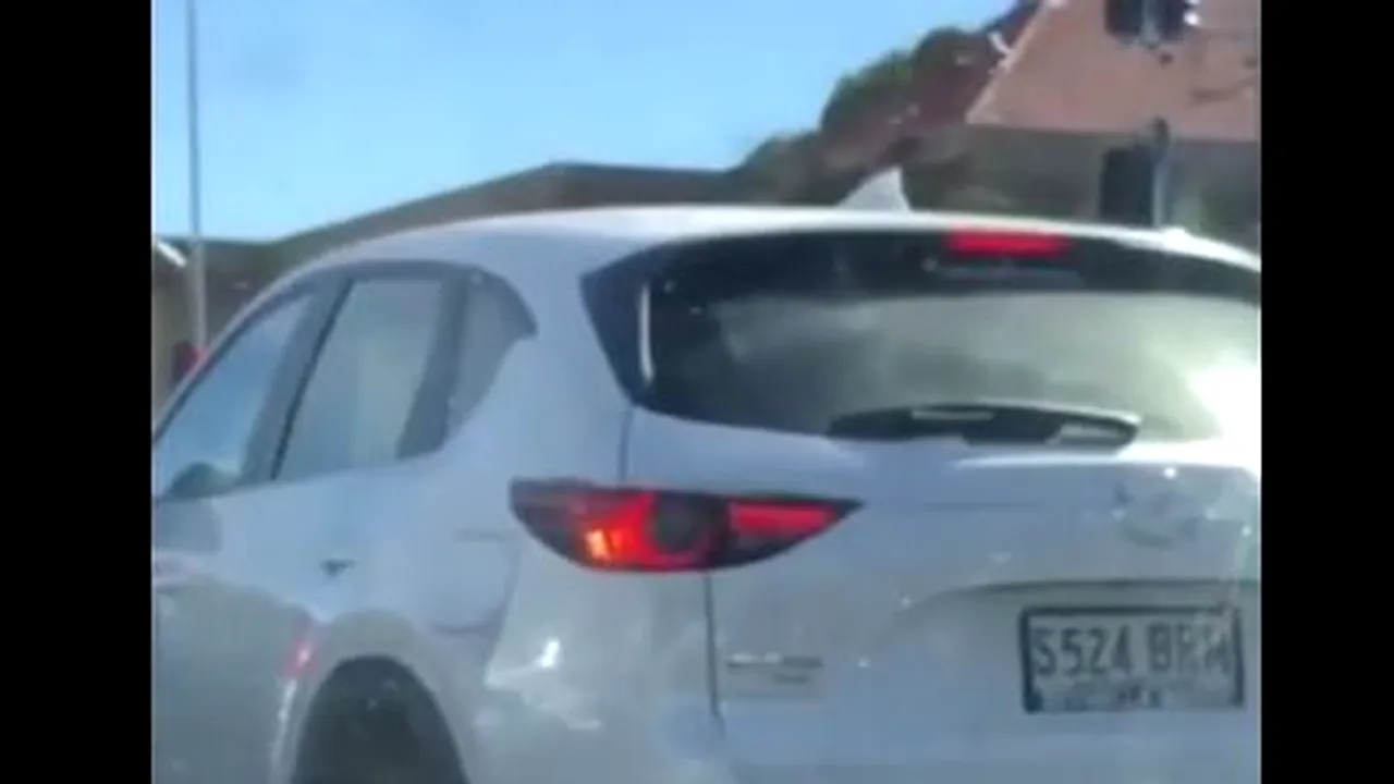 Pericolele pândesc la semafor: Un păianjen „uriaş” se strecoară într-o maşină, fără ca şoferul să observe | VIDEO