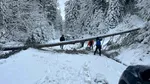 Turişti blocaţi pe traseul Bistra Mică, salvaţi de jandarmii montani