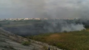 Incendiu în zona Deltei Văcăreşti din Capitală - FOTO