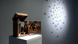 Bacterii moarte, incluse în cea mai recentă instalaţie a unei artiste britanice de origine română - FOTO