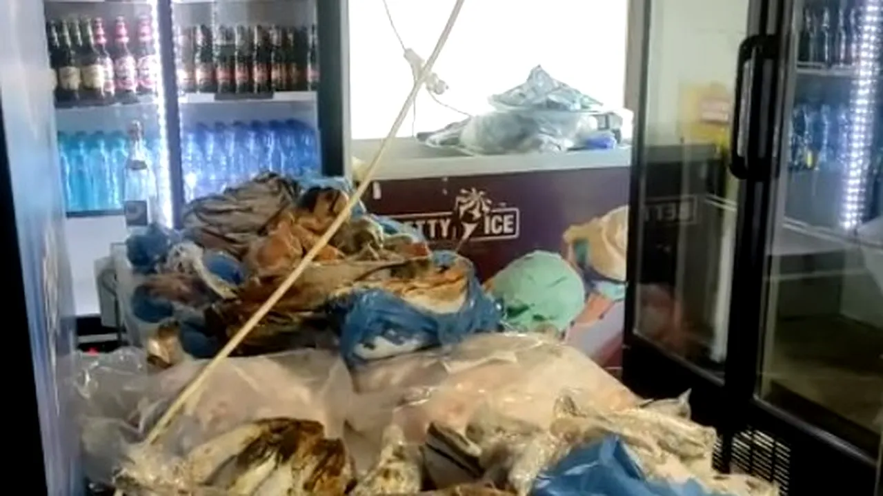 Dezastru după controale ANPC în Giurgiu: jumătate din operatori au activitatea oprită temporar