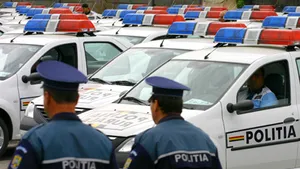 IGPR scapă de amendă în cazul maşinilor Logan