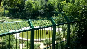 GALERIE FOTO | Urşii de la ZOO Galaţi primesc îngheţată, iar celelalte animale multe fructe şi legume 