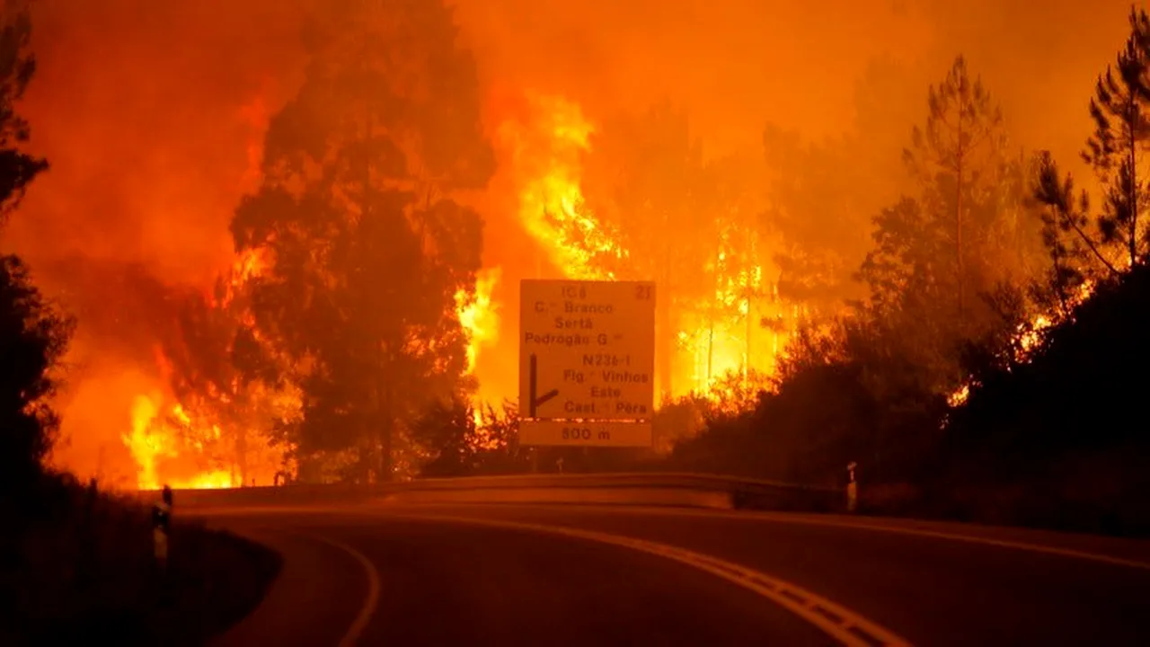 Cel puţin 60 de persoane au murit în urma unui devastator incendiu de pădure în Portugalia. Guvernul a decretat trei zile de doliu naţional