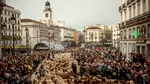 Peste 1.000 de oi vor traversa centrul Madridului duminică: cum le poți vedea gratuit și ce străzi vor fi afectate