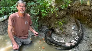 A fost găsit un colţ de mamut care datează de cel puţin 11.000 de ani
