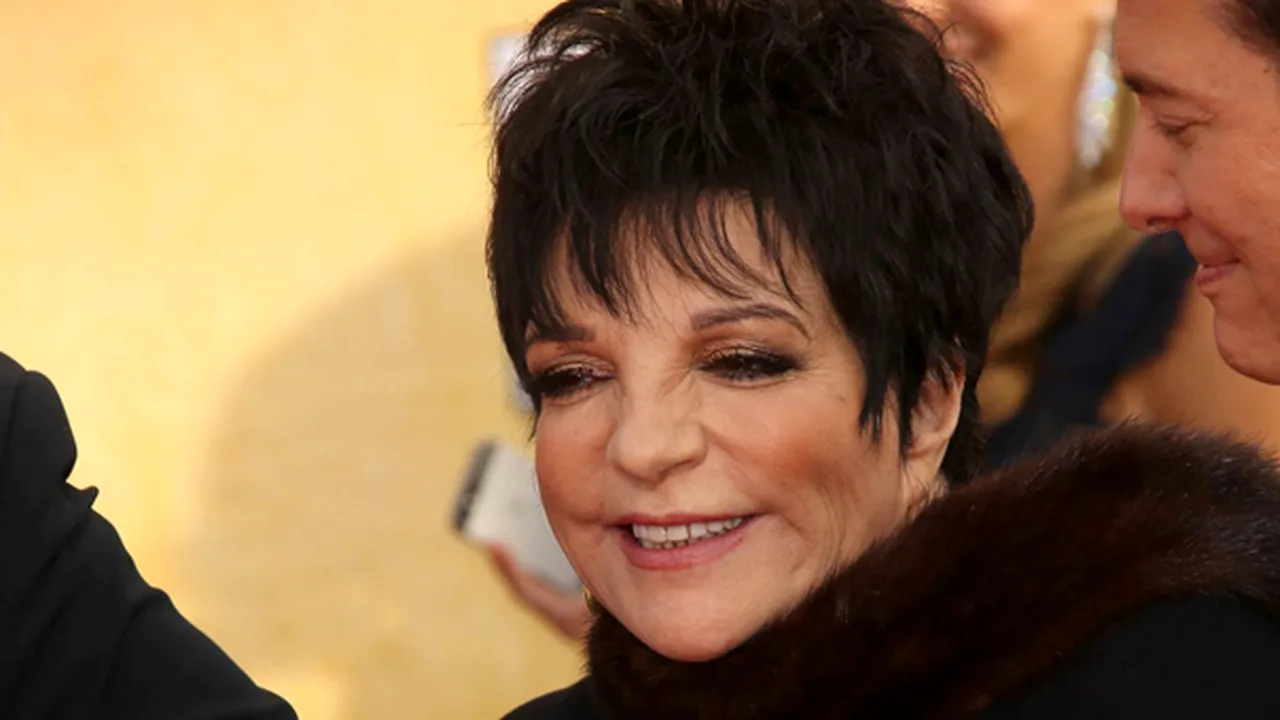 Liza Minnelli, externată dintr-o clinică de dezintoxicare