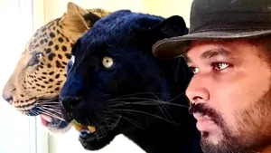 Poveste înduioşătoare de pe front: Un medic indian refuză să părăsească Ucraina, pentru a nu abandona un jaguar şi o panteră