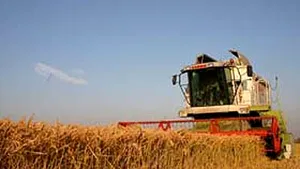Agricultura românească, de 4 ori mai puţin asigurată decât media UE