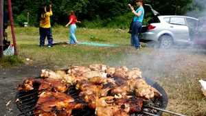 REPORTAJ: Sute de oameni la picnic în Pădurea Schullerwald, singurul loc autorizat din Bistriţa pentru această activitate