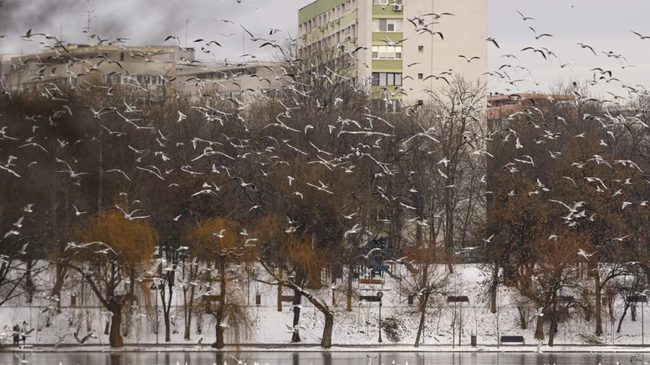 Minus 12 grade în București. Capitala intră sub cod galben de frig