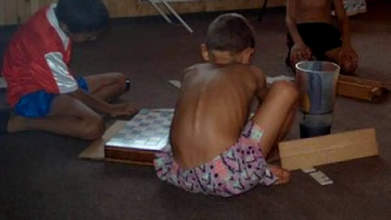 Documentary On Romanian Orphanages Lacks Objectivity, Presents False Data – State Secretary