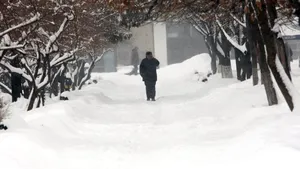 Ungaria: Ninsoarea continuă să provoace perturbări