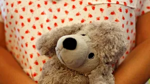 STUDIU: Mângâierea unui ursuleţ de pluş poate atenua sentimentul de anxietate