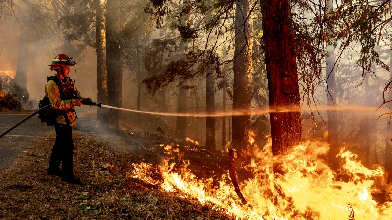 California foloseşte inteligenţa artificială pentru a depista din timp incendiile de vegetaţie