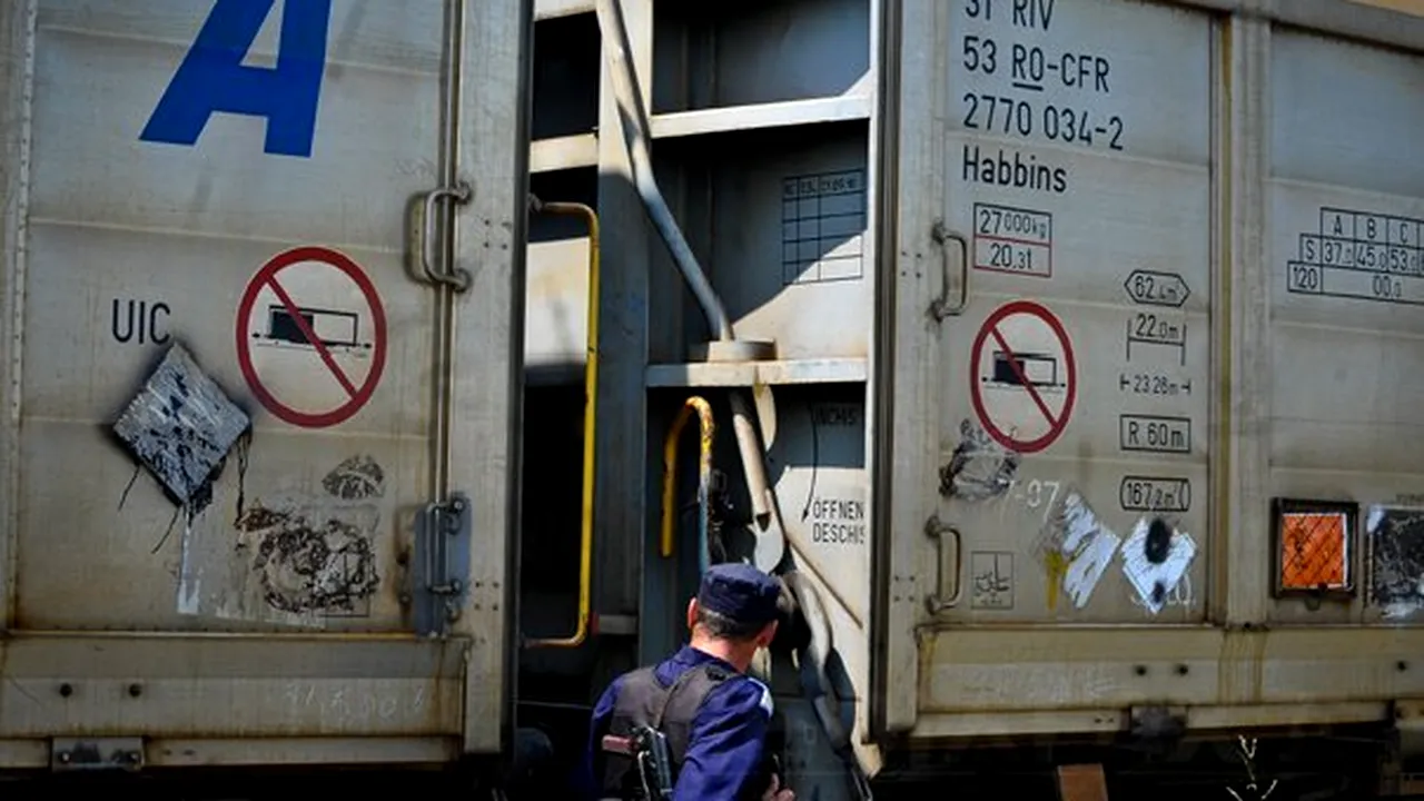 Doar 79 de focoase au fost găsite. Unul dintre ele este în continuare căutat