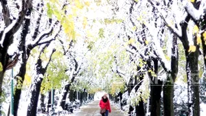 VREMEA până pe 15 decembrie. Cât de frig va fi şi când va ninge în fiecare regiune a ţării