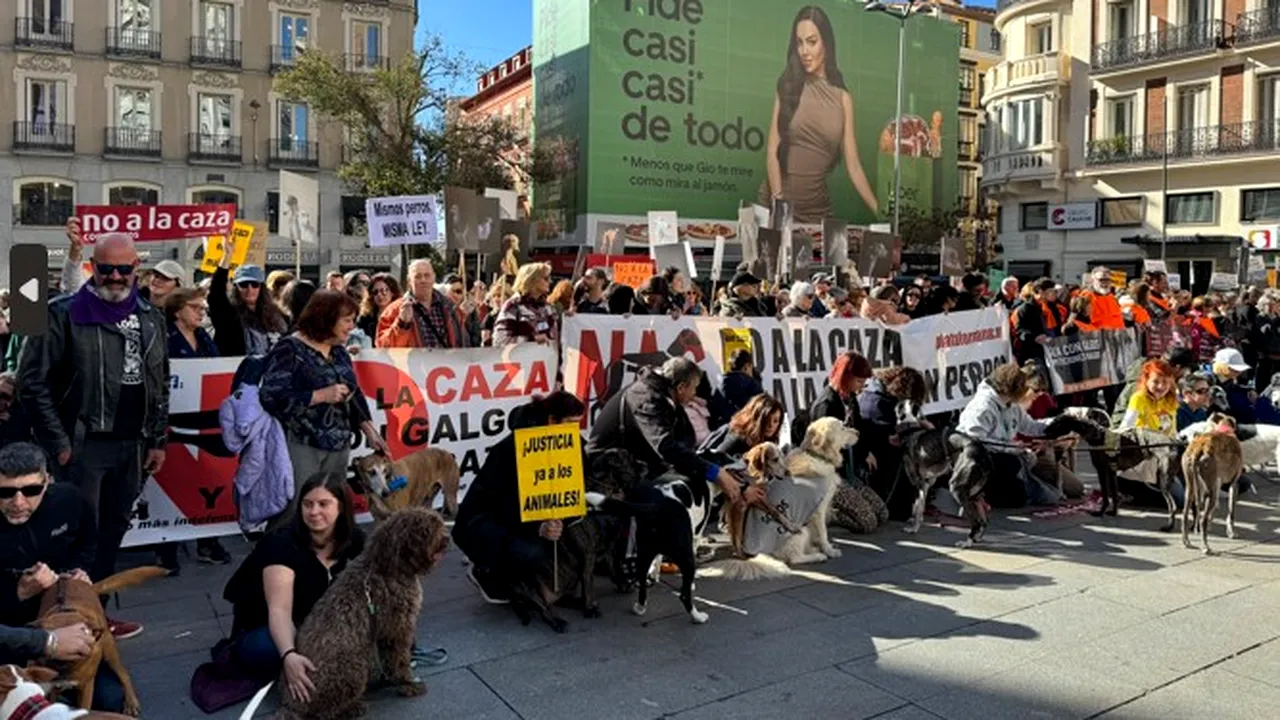 Spania protestează împotriva vânătorii cu câini: Apel pentru Protecţia Animalelor