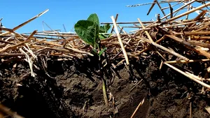 Soluţiile agricole stimulează eforturile de reducere a emisiilor de gaze cu efect de seră