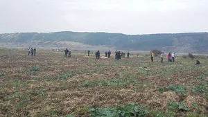 Un militar a murit după ce s-a prăbuşit cu paraşuta în apropierea Aerodromului Zărneşti, în timpul unui exerciţiu. Ancheta în acest caz a fost preluată de Parchetul Militar
