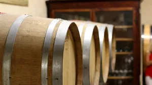 Vinul italian dă pe dinafară în pivnițe. Scăderea consumului și încetinirea exportului îi pun pe producători într-o situație dificilă