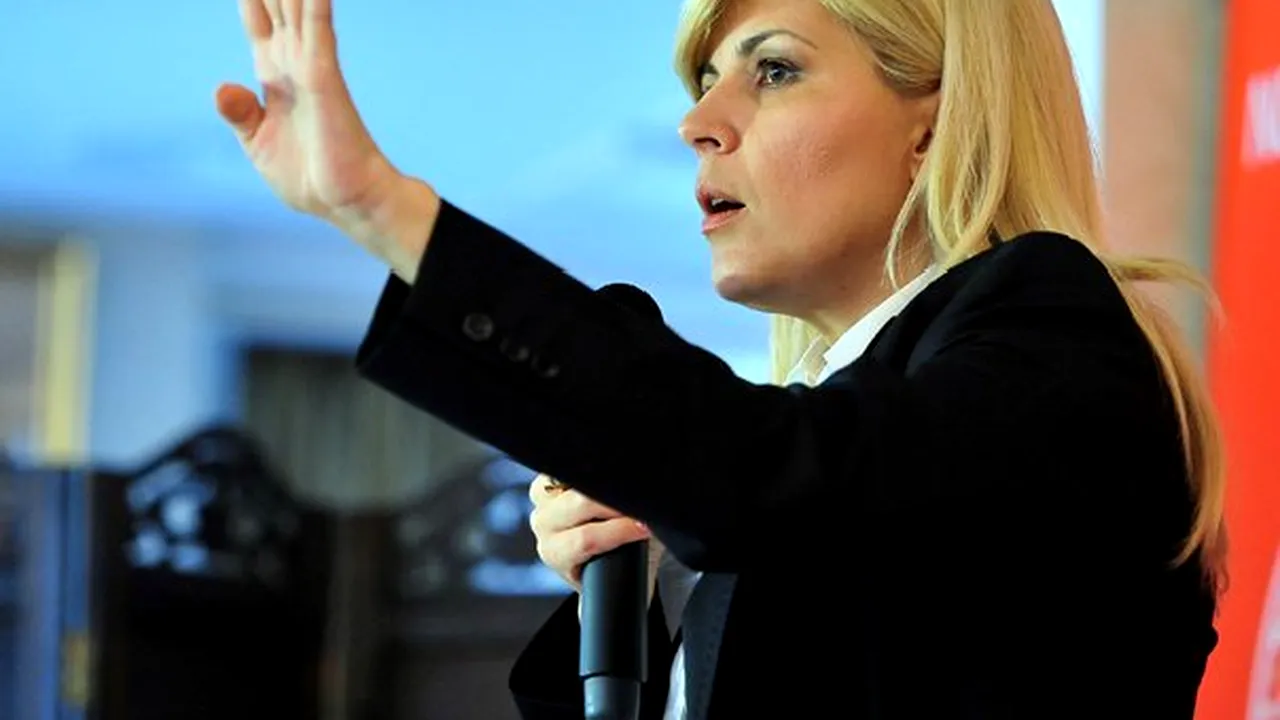 Udrea: Să arătăm ca un partid luptător. Riscăm ca PPDD să ne ia statutul de partid de opoziţie